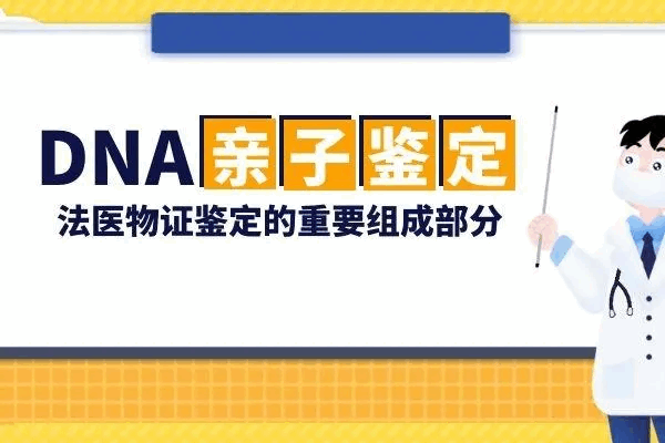 DNA亲子鉴定