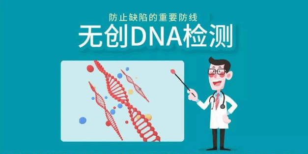 无创DNA产前检测技术