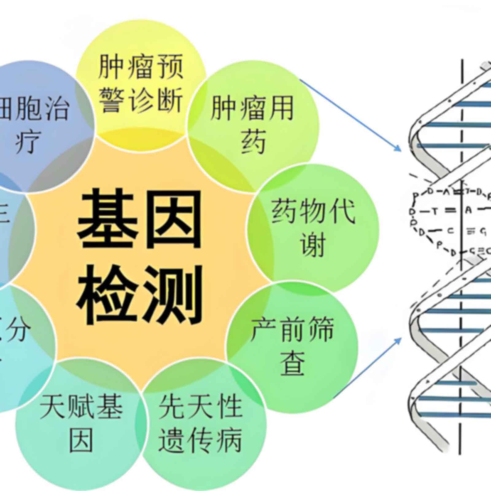 厦门集美亲子鉴定怎么做才正规